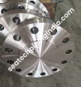 Blind Flange