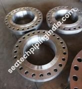 Ring Type Joint Flange
